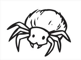 Spider. Sketch style illustration. vector