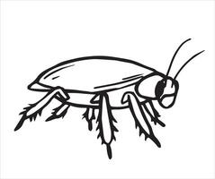 cockroach. sketch style illustration. vector