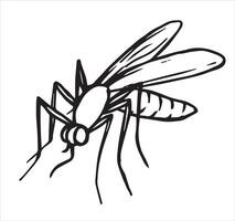 insect mosquito. illustration in sketch style parasite vector