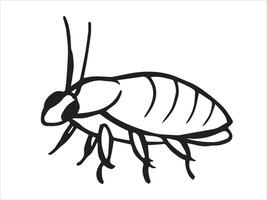 insect cockroach. sketch style illustration. vector
