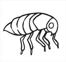 insect flea. illustration in sketch style. parasite vector