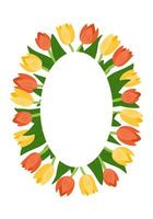 Oval floral frame made of red and yellow tulips with green leaves, creating a decorative spring themed border on a white background. Floral template for greeting, banner or invitation vector