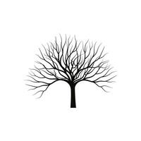 Leafless Tree Silhouette Design, No Leaves Tree vector