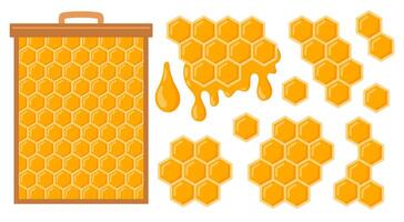 Honeycomb with bee honey set. Apiary collection objects. Beeswax. Organic honey drop. illustration isolated on white background vector