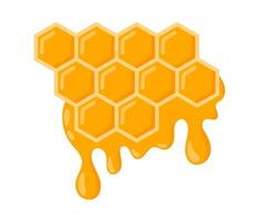 Honeycomb with bee honey. Apiary. Beeswax. Organic honey drop. illustration isolated on white background vector