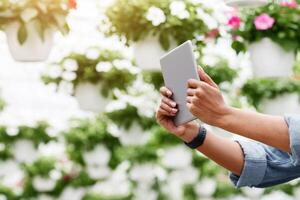 Working with digital technology in greenhouses with flowers. Smiling african american and farm worker girl with tablet making photo in daylight