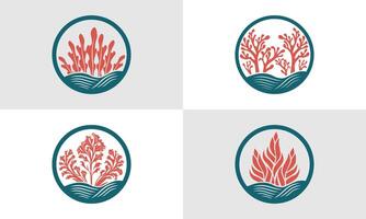 Modern and minimalistic Seaweed logo design vector