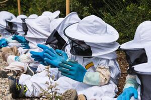 Unrecognizable children in costumes in apiary photo