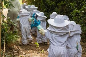 Company of kids in protective costumes in apiary photo
