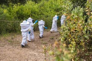 Company of kids in protective costumes in apiary photo