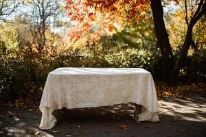 Empty table in autumn park photo