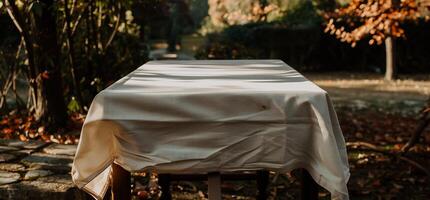Outdoor Table Covered with a Light Cloth photo
