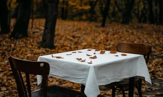 Empty autumnal outdoor table in a forest photo