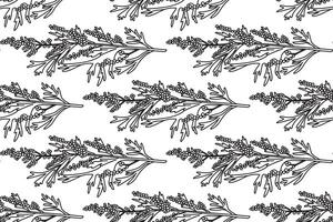 Line art botanical seamless plant pattern with berries illustration.Black outline repeating floral pattern in white background. Graphic design for Fashion Cover Textile Coloring Page Print Card vector