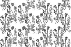Line art botanical seamless floral pattern with dandelions illustration. Black outline repeating plant pattern in white background. Graphic design for Fashion Cover Textile Coloring Page Print Card vector