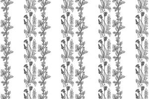 Line art botanical seamless floral pattern with dandelion and celandine illustration. Black outline repeating plant pattern in white background. Graphic design for Fashion Cover Textile Print Card vector