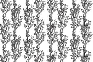 Line art botanical seamless plant pattern with berries illustration. Black outline repeating floral pattern in white background. Graphic design for Fashion Cover Textile Coloring Page Print vector