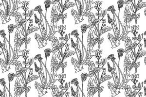 Line art botanical seamless floral pattern with dandelion and celandine illustration. Black outline repeating plant pattern in white background. Graphic design for Fashion Cover Textile Print vector