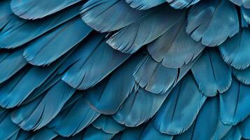 Close-up of vibrant blue bird feathers. Intricate patterns and textures of tightly packed, detailed plumage photo