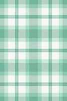 Turkish check textile , elementary pattern plaid texture. Floor fabric seamless tartan background in white and mint colors. vector
