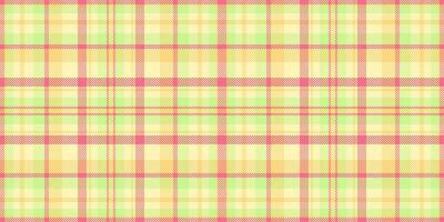Pastel plaid pattern, perfect for springsummer designs. Soft, cheerful colors create a gentle, optimistic mood. Ideal for textile, fashion, website backgrounds, and stationery. vector