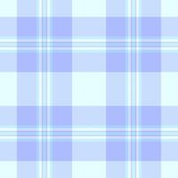 Soft pastel blue plaid pattern. Perfect for backgrounds, textiles, or website designs. This serene, minimalist design evokes feelings of calm and tranquility. vector