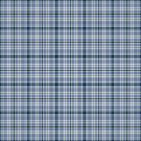 Doodle texture check , professional seamless tartan textile. Stripe plaid pattern fabric background in blue and white colors. vector