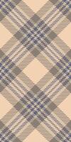 Man texture check background, seasonal plaid tartan textile. Quilted seamless pattern fabric in pastel and light colors. vector