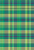 Vibrant green and yellow plaid pattern. Perfect for textile design, website backgrounds, or fashion projects. vector