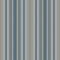 Pagged seamless texture pattern, classic textile background. Aage lines stripe fabric vertical in pastel and light colors. vector