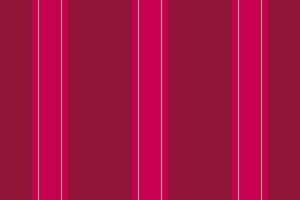 Presentation fabric pattern, tradition textile lines background. Outside vertical stripe seamless texture in red and pink colors. vector