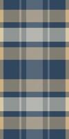 Subtle blue, beige, and grey plaid pattern. Elegant and versatile textile design ideal for fashion, home decor, or website backgrounds. Evokes feelings of warmth, comfort, and sophistication. vector