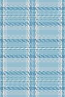 White texture tartan, native seamless check plaid. Checked pattern fabric background textile in light and cyan colors. vector