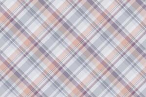 Mexico background textile fabric, herringbone check tartan texture. Empty seamless plaid pattern in pastel and white colors. vector