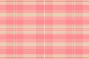 Delicate pink and beige plaid pattern. Perfect for textile design, website backgrounds, or crafting projects. Subtle texture and soft colors evoke feelings of warmth and femininity. vector