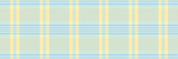 Soft pastel plaid pattern in pale yellow and blue. Perfect for backgrounds, textiles, or stationery design. Evokes feelings of calmness and serenity. vector