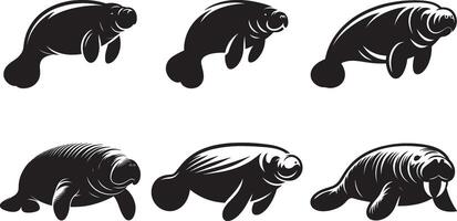 Set Of High-Resolution Manatee Silhouettes on White Background vector