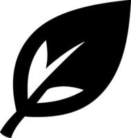 Detailed Leaf Pattern Design vector