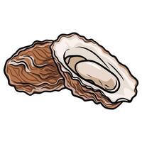 Fresh oysters illustration, raw mollusk in shell. Seafood concept in a colored flat style, ideal for restaurant menus, ads, posters, and food related designs. vector