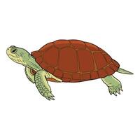 Turtle side view illustration. Tortoise reptile with a textured shell, depicted in a simple flat style. Isolated on a white background, ideal for wildlife and nature themed designs. vector