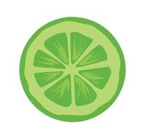 Cucumber slice cross section with seeds, flat color icon. Ideal for food applications and websites, showcasing fresh produce. vector