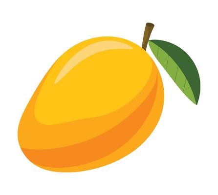 Mango drawing in a simple style. Ideal for children's books, web design, posters, campaigns, and more.