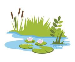 Swamp landscape with reeds and cattails, isolated element. Horizontally composed illustration of an overgrown pond shore. Ideal for nature themed designs. vector