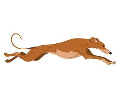 Greyhound dog jumping icon. Silhouette of a leaping greyhound, isolated on white. Sleek and dynamic design. vector