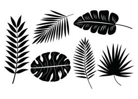 Set of palm leaf silhouettes isolated on a white background. Tropical botanical elements in black, perfect for nature-inspired designs, logos, and decorative patterns. illustration. vector