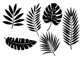Set of palm leaf silhouettes isolated on a white background. Tropical botanical elements in black, perfect for nature-inspired designs, logos, and decorative patterns. vector