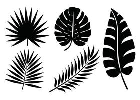 Set of palm leaves silhouettes in black. Tropical foliage collection isolated on a white background, perfect for botanical designs, patterns, and decorative elements. vector