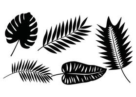 Set of palm leaves silhouettes in black. Tropical foliage collection isolated on a white background, perfect for botanical designs, patterns. vector