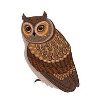 Decorative illustration of owl. isolated design element vector