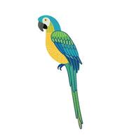 Decorative illustration of macaw parrot. isolated design element vector